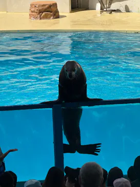 伊豆シャボテン動物公園に投稿された画像（2026/8/12）