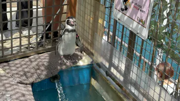 伊豆シャボテン動物公園に投稿された画像（2026/8/12）