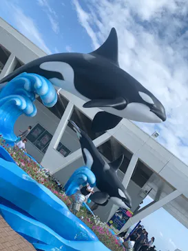 鴨川シーワールドに投稿された画像（2026/8/12）