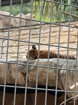 日立市かみね動物園に投稿された画像（2026/8/12）