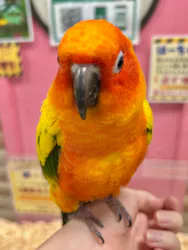 いきもの探検隊上尾に投稿された画像（2026/8/12）