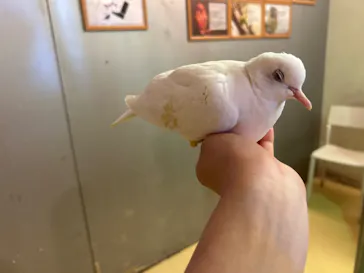 Moff animal cafe イオンモール幕張新都心店に投稿された画像（2026/8/12）