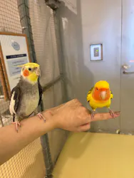 Moff animal cafe イオンモール幕張新都心店に投稿された画像（2026/8/12）