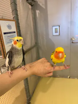 Moff animal cafe イオンモール幕張新都心店に投稿された画像（2026/8/12）