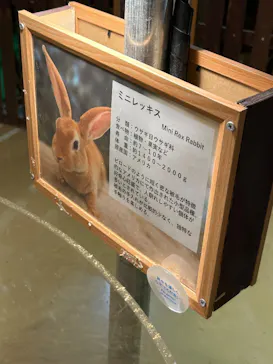 Moff animal cafe イオンモール幕張新都心店に投稿された画像（2026/8/12）