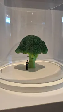 MINIATURE LIFE展2ー田中達也 見立ての世界ー（氷見市芸術文化館）に投稿された画像（2026/8/12）