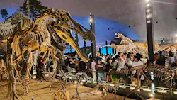 福井県立恐竜博物館に投稿された画像（2026/8/12）