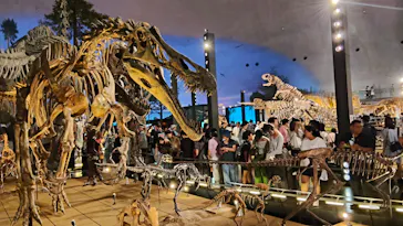 福井県立恐竜博物館に投稿された画像（2026/8/12）