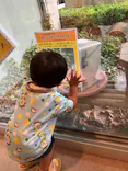 石川県ふれあい昆虫館に投稿された画像（2026/8/13）