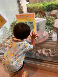 石川県ふれあい昆虫館に投稿された画像（2026/8/12）
