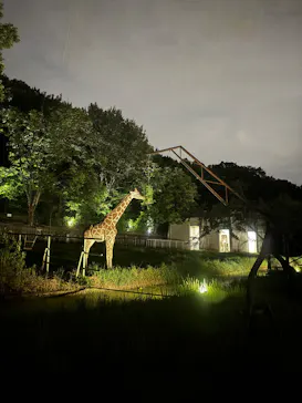 名古屋市東山動植物園に投稿された画像（2026/8/12）