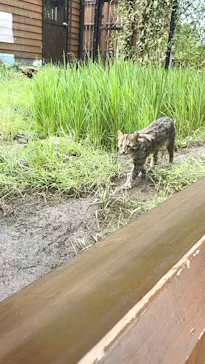 那須どうぶつ王国に投稿された画像（2026/8/13）