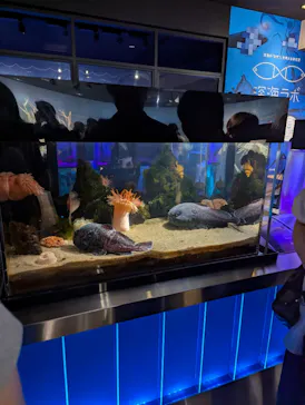 仙台うみの杜水族館に投稿された画像（2026/8/13）