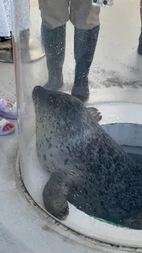 しながわ水族館に投稿された画像（2026/8/13）
