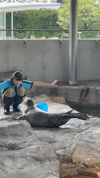 しながわ水族館に投稿された画像（2026/8/13）