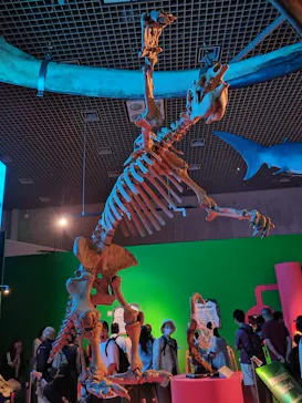 特別展「いきもの超ワールド展　国立科学博物館×ダーウィンが来た！」（国立科学博物館）に投稿された画像（2026/8/13）
