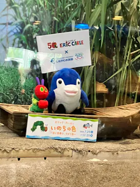 しながわ水族館に投稿された画像（2026/8/13）