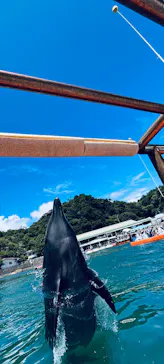 下田海中水族館に投稿された画像（2026/8/13）