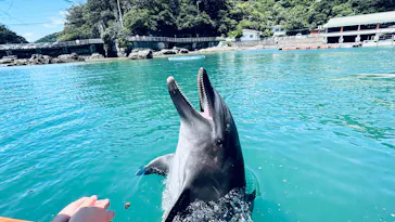 下田海中水族館に投稿された画像（2026/8/13）