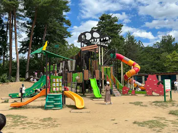 福井県立恐竜博物館に投稿された画像（2026/8/13）