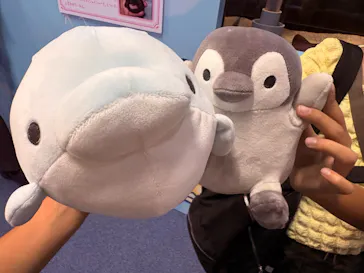 アクアワールド茨城県大洗水族館に投稿された画像（2026/8/13）