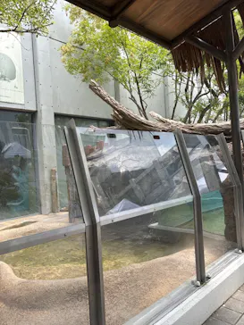 世界淡水魚園水族館　アクア・トトぎふに投稿された画像（2026/8/13）