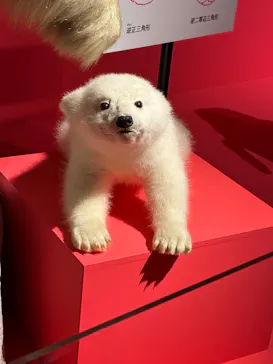 特別展「いきもの超ワールド展　国立科学博物館×ダーウィンが来た！」（国立科学博物館）に投稿された画像（2026/8/13）