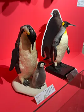 特別展「いきもの超ワールド展　国立科学博物館×ダーウィンが来た！」（国立科学博物館）に投稿された画像（2026/8/13）