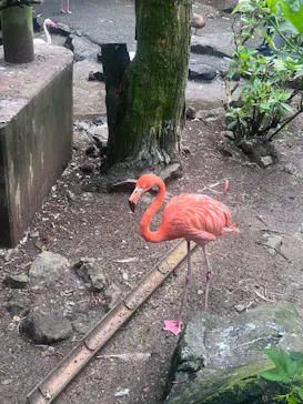 伊豆シャボテン動物公園に投稿された画像（2026/8/13）