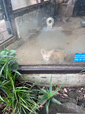伊豆シャボテン動物公園に投稿された画像（2026/8/13）