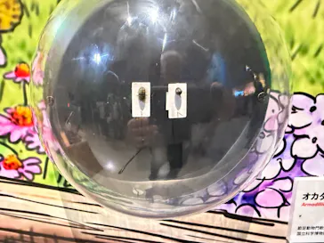 特別展「いきもの超ワールド展　国立科学博物館×ダーウィンが来た！」（国立科学博物館）に投稿された画像（2026/8/13）