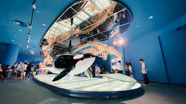 名古屋港水族館に投稿された画像（2026/8/13）