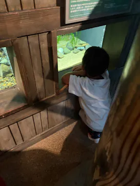 世界淡水魚園水族館　アクア・トトぎふに投稿された画像（2026/8/13）