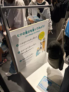 大南極展に投稿された画像（2026/8/13）