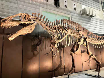 ヨコハマ恐竜展２０２６～恐竜の食卓大図鑑～に投稿された画像（2026/8/13）