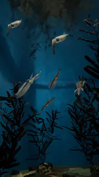 名古屋港水族館に投稿された画像（2026/8/13）