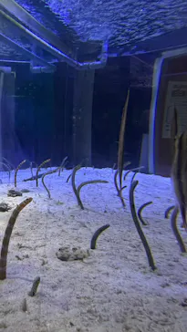 名古屋港水族館に投稿された画像（2026/8/13）