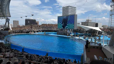 名古屋港水族館に投稿された画像（2026/8/13）