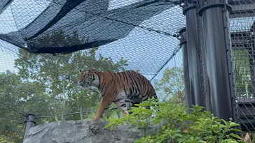 名古屋市東山動植物園に投稿された画像（2026/8/13）