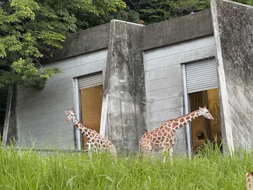 名古屋市東山動植物園に投稿された画像（2026/8/13）