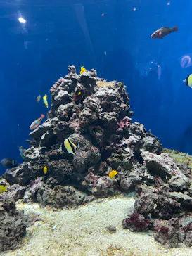 葛西臨海水族園に投稿された画像（2026/8/13）
