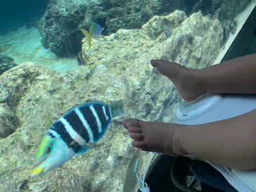 葛西臨海水族園に投稿された画像（2026/8/13）