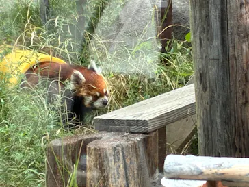 天王寺動物園に投稿された画像（2026/8/13）