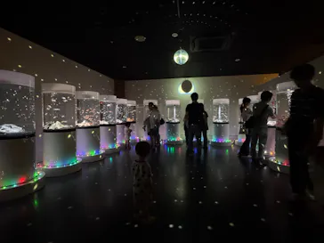 NARA IKIMONO MUSEUMに投稿された画像（2026/8/13）