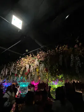 アートアクアリウム美術館 GINZAに投稿された画像（2026/8/13）