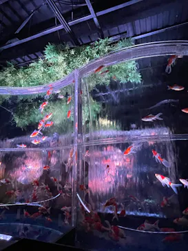 アートアクアリウム美術館 GINZAに投稿された画像（2026/8/13）