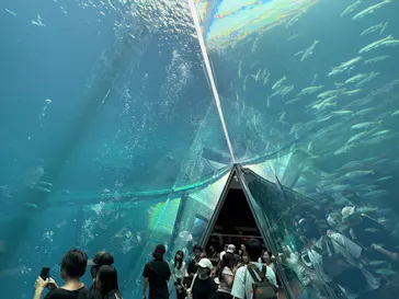 環境水族館アクアマリンふくしまに投稿された画像（2026/8/13）