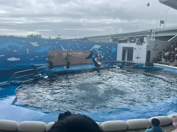 仙台うみの杜水族館に投稿された画像（2026/8/13）