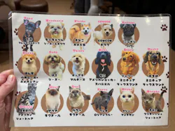 ぶさかわcafe 京都河原町店に投稿された画像（2026/8/13）
