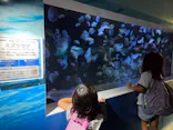 横浜・八景島シーパラダイスに投稿された画像（2026/8/13）